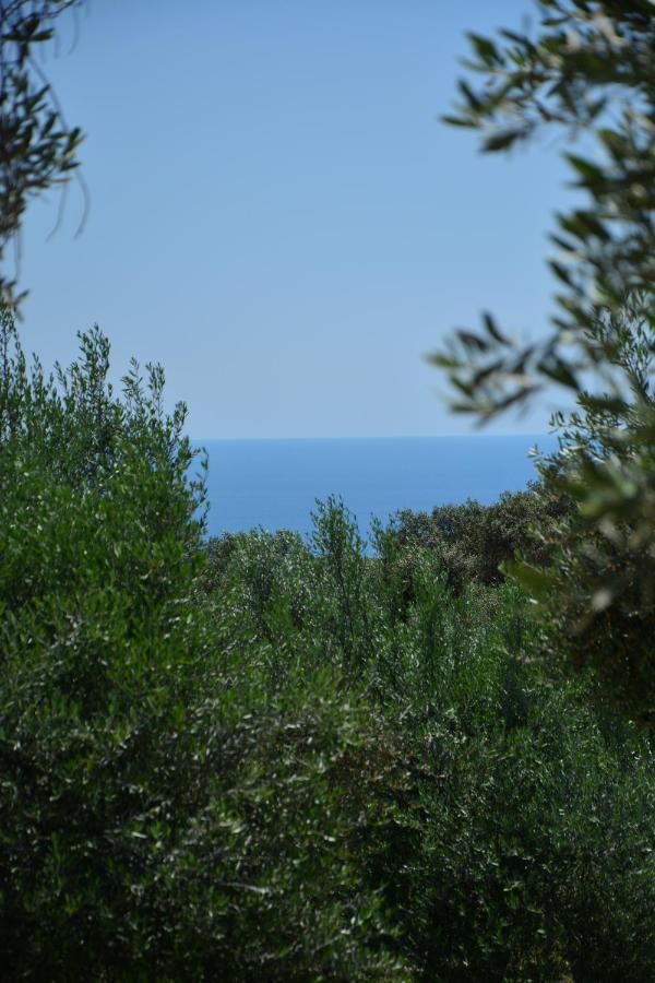 Olea Cottage Ulcinj Exterior photo