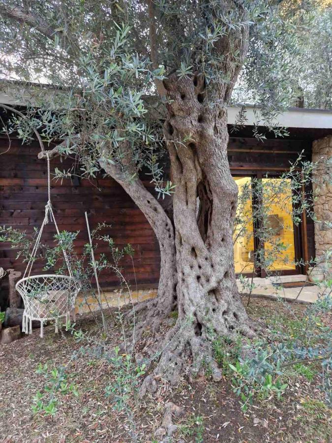 Olea Cottage Ulcinj Exterior photo